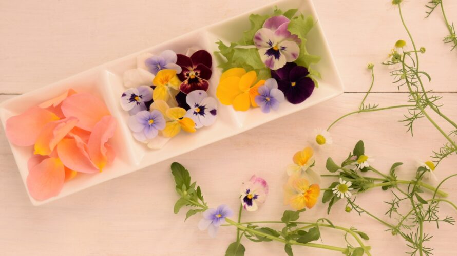 【花の砂糖菓子】クリスタライズドフラワーに向く花7選＋身近な食用花7選【エディブルフラワー】