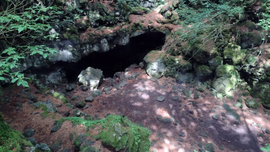 【富士エコツアー】青木ヶ原樹海・洞窟探索に行きました【当日編②】